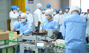 Bên trong nhà máy sản xuất sữa ZinZin chuẩn Nhật tại Thái Nguyên