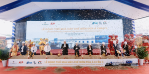 AIG báo lãi sau thuế tăng 72% trong nửa đầu năm 2026