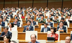 Quốc hội xem xét, quyết định công tác nhân sự và lập 2 thành phố trực thuộc Trung ương