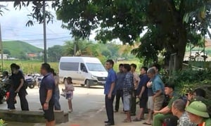 Hai vợ chồng bị điện giật tử vong khi lau bể cá cảnh