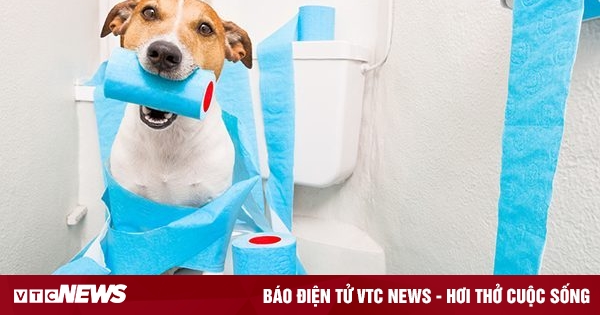 amp.vtcnews.vn