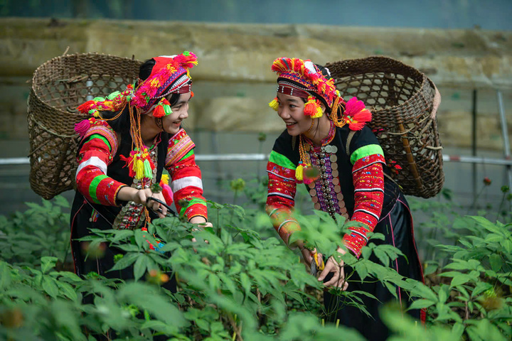 Nâng tầm sản phẩm vùng đồng bào dân tộc thiểu số và miền núi phía Bắc