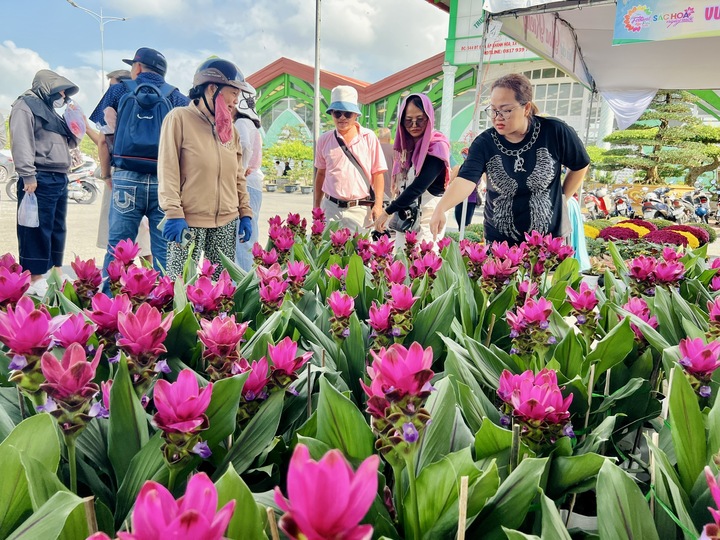 Giống hoa lạ khiến nhiều người tìm về Làng hoa Sa Đéc để mua bằng được