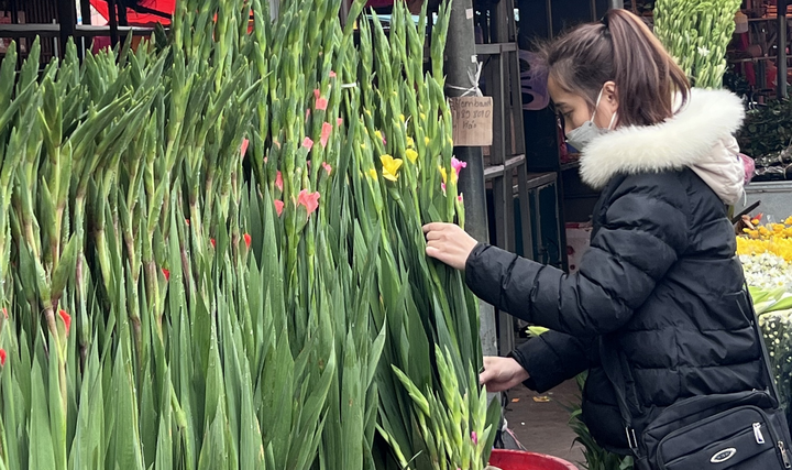 Trái cây, rau củ, hoa Tết bắt đầu nhích giá