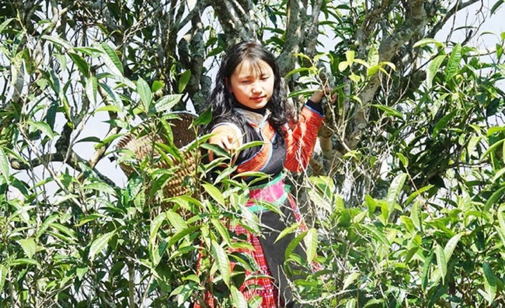 Nỗ lực đưa nông sản Việt vươn xa từ hội chợ Mùa Xuân 2026