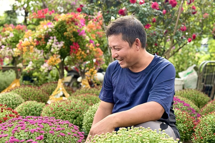 Hoa Tết TP.HCM bán chạy, nhiều nhà vườn "cháy" hàng sớm