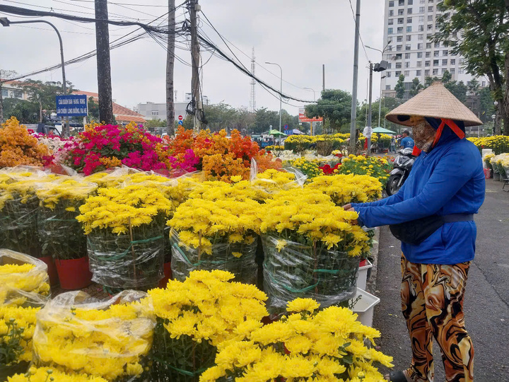 Chợ hoa ngày 28 Tết: Hoa giá vài chục nghìn đồng, bao nhiêu khách cũng mua hết