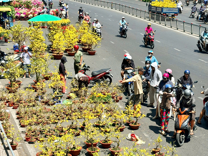 Hết hàng sớm, chợ hoa Tết TP.HCM không còn cảnh đập bỏ hoa