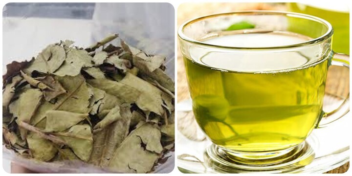 Nước lá vối khô có tác dụng gì?