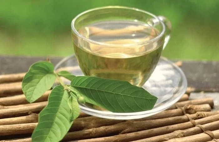 Uống nước lá ổi có lợi ích gì?