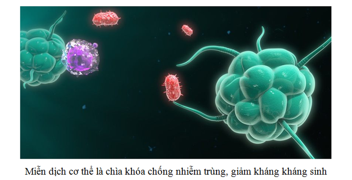 Ly giải tế bào vi khuẩn, đột phá mới giúp giảm kháng kháng sinh - 2
