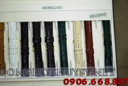 Donghothuysy.net – Chia sẻ lợi nhuận, tri ân khách hàng - 2