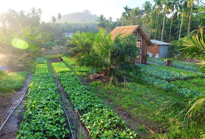 Nhịp sống xanh đang lan tỏa và ngày càng được nhiều người việt quan tâm - 2