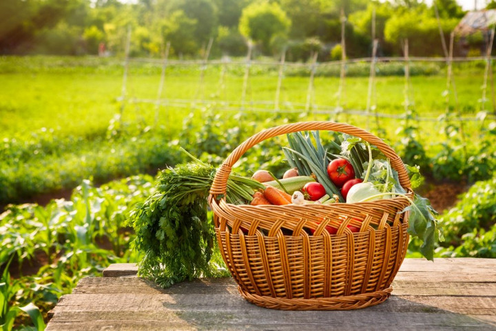 Nhịp sống xanh đang lan tỏa và ngày càng được nhiều người việt quan tâm - 3