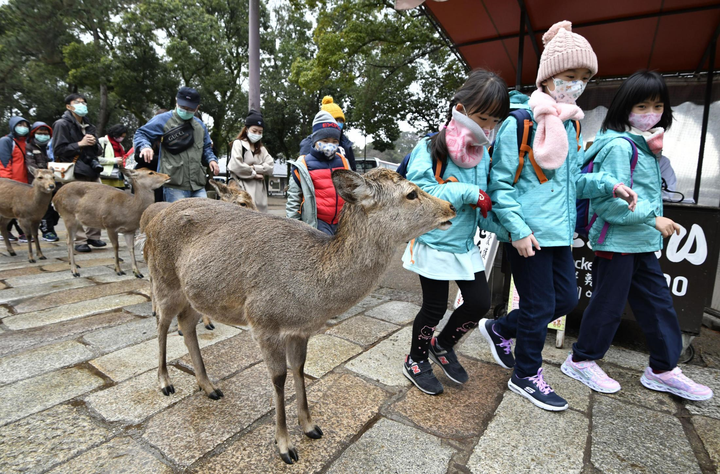 Vì sao quá nhiều 'thuyết âm mưu' xung quanh dịch cúm Vũ Hán? - 2