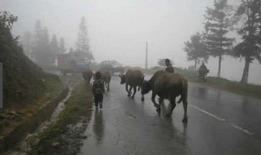 Tháng 2, miền Bắc đón 4 - 6 đợt không khí lạnh - 1