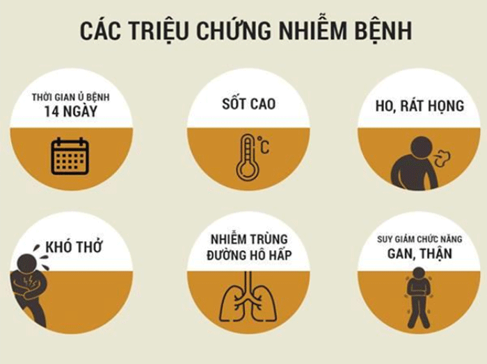 Cách ly một lao động ở Phú Thọ trở về từ Trung Quốc - 1