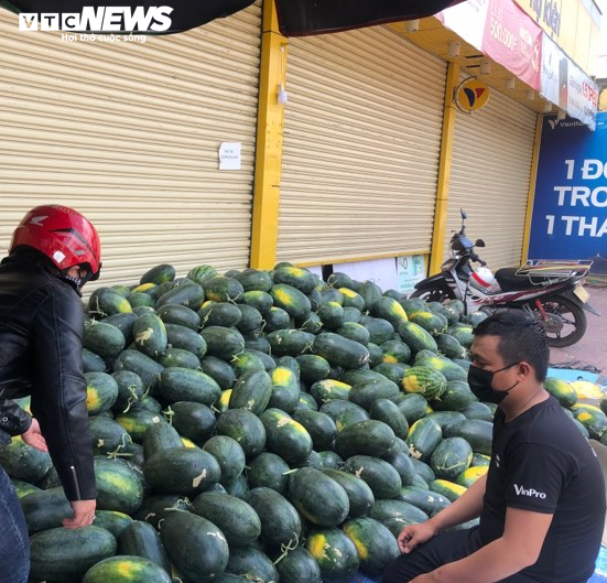 Dịch corona: Nông dân Bình Định 'mướt mồ hôi' bán tháo dưa hấu bị ứ đọng - 5