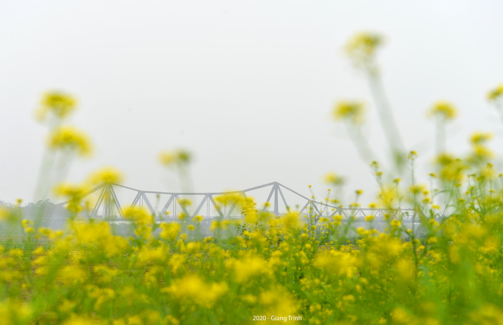 Ảnh: Hà Nội mờ ảo trong làn sương mù dày đặc phủ kín từ sáng đến trưa - 10