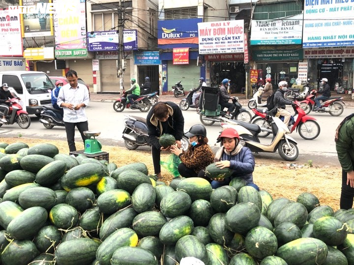 Dân Hà Nội nhiệt tình mua, hàng chục tấn dưa hấu 'vỉa hè' được 'giải cứu' - 10