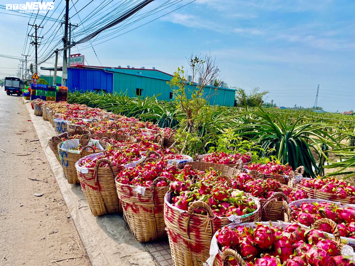 Đại dịch corona: Thách thức để nông sản Việt tự 'tìm đường', không còn 'bấu víu' vào Trung Quốc - 2