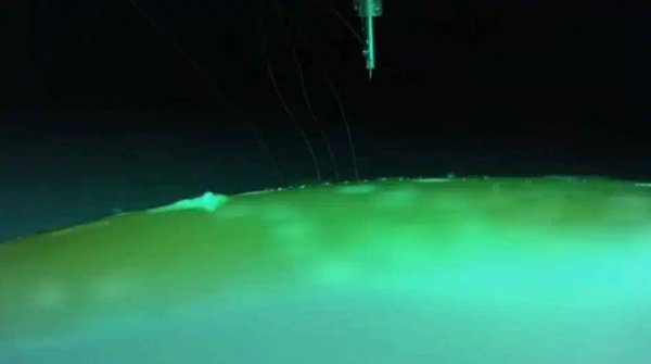 Tỷ phú Elon Musk tuyên bố kết nối não người với máy tính trong năm nay - 1