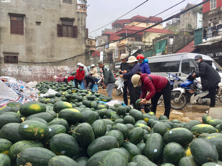 Dân Hà Nội nhiệt tình mua, hàng chục tấn dưa hấu 'vỉa hè' được 'giải cứu' - 2