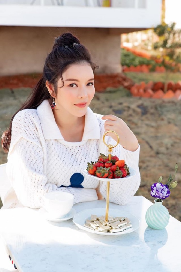 Lý Nhã Kỳ bức xúc khi bị mạo danh bán biệt thự 118 tỷ đồng - 2