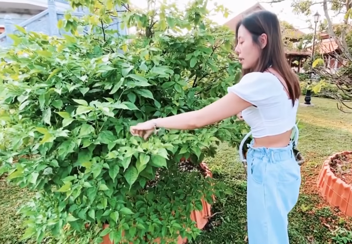 Bị chỉ trích vì mặc áo hở eo đến đền thờ Tổ của Hoài Linh, Nam Thư nói gì? - 1