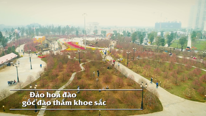 Những dấu ấn khó quên tại Lễ hội hoa đào lớn nhất Việt Nam - 3