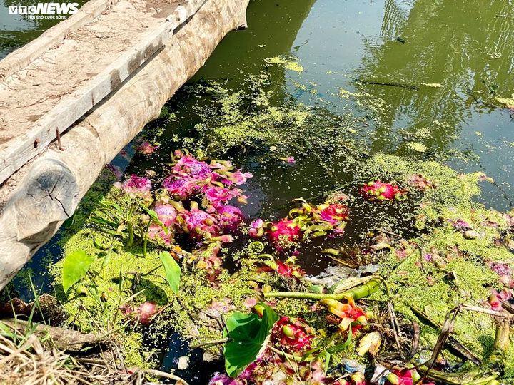 Dịch corona: Doanh nghiệp Việt chấp nhận thua lỗ để giải cứu nông sản - 1