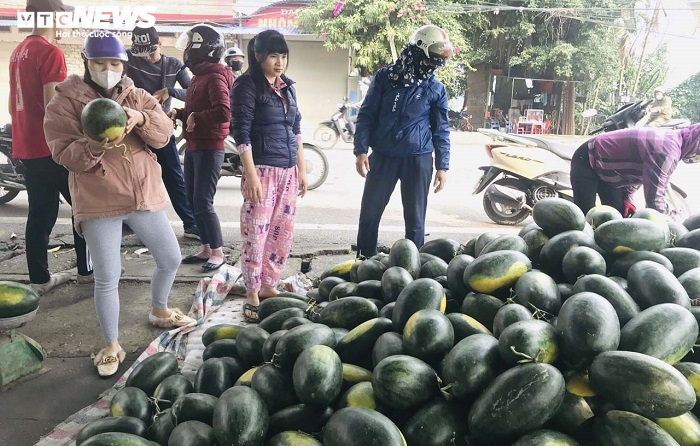 30 tấn dưa hấu Gia Lai, Bình Định được dân Hải Phòng mua sạch - 11