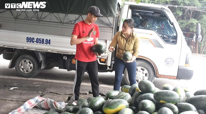 30 tấn dưa hấu Gia Lai, Bình Định được dân Hải Phòng mua sạch - 7
