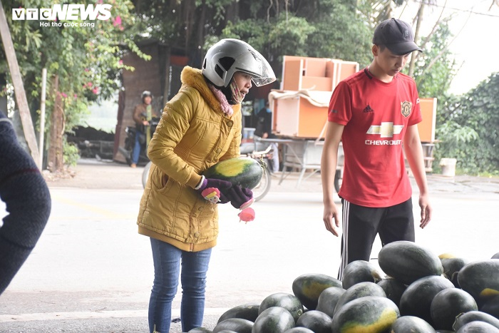 30 tấn dưa hấu Gia Lai, Bình Định được dân Hải Phòng mua sạch - 4