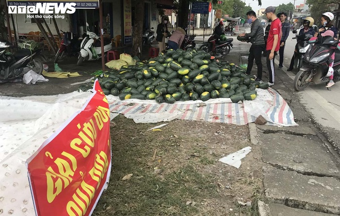 30 tấn dưa hấu Gia Lai, Bình Định được dân Hải Phòng mua sạch - 3
