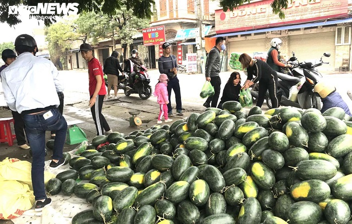 30 tấn dưa hấu Gia Lai, Bình Định được dân Hải Phòng mua sạch - 1