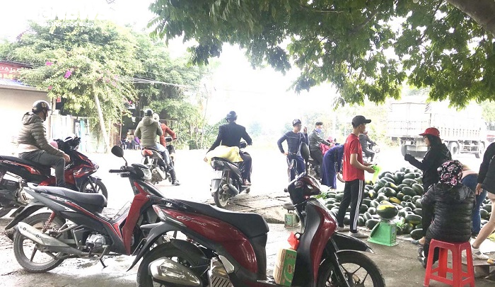 30 tấn dưa hấu Gia Lai, Bình Định được dân Hải Phòng mua sạch - 9