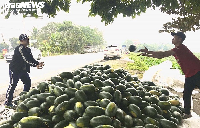 30 tấn dưa hấu Gia Lai, Bình Định được dân Hải Phòng mua sạch - 2