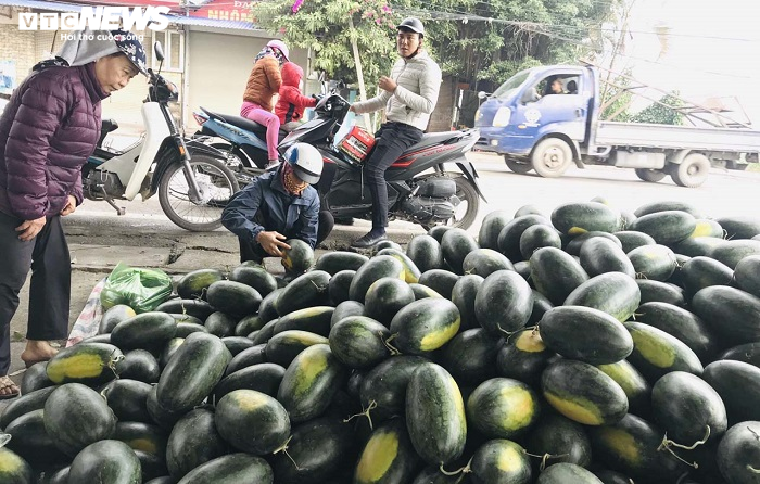30 tấn dưa hấu Gia Lai, Bình Định được dân Hải Phòng mua sạch - 5
