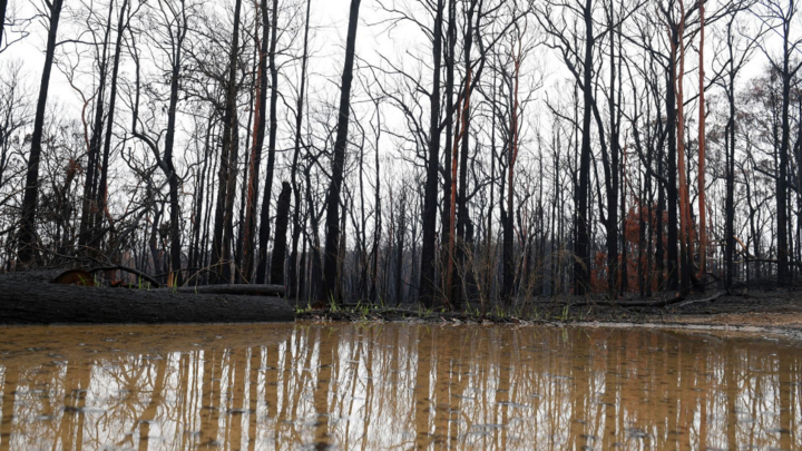 Australia đón cơn mưa lớn chưa từng có trong 20 năm - 1