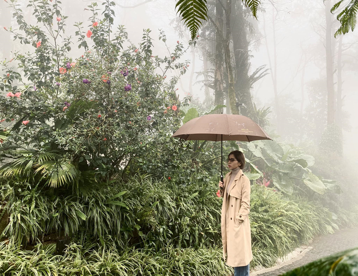 Meliá Ba Vi Mountain Retreat: Điểm đến hấp dẫn năm 2020 - 3