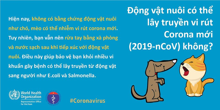 Bộ Y tế giải đáp 14 điều dễ nhầm lẫn về virus corona - 14