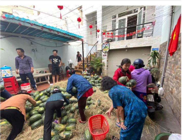 Mua dưa hấu giúp nông dân Gia Lai rồi phát miễn phí - 5