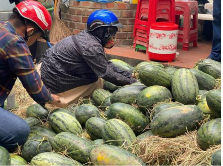 Mua dưa hấu giúp nông dân Gia Lai rồi phát miễn phí - 1