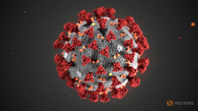 Trung Quốc đặt tên cho dịch viêm phổi do virus corona - 1