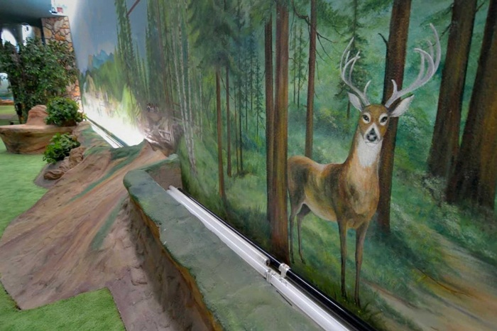 Bên trong biệt thự dưới lòng đất đẹp như cổ tích, giá 18 triệu USD - 4