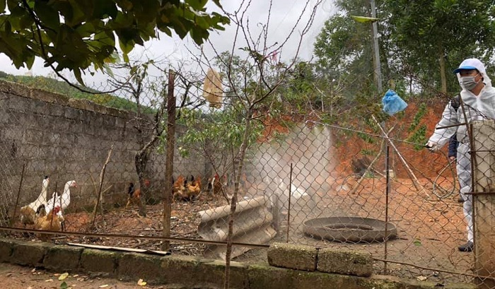 Ảnh: Dân Quảng Ninh dọn vệ sinh, xử lý môi trường để chống dịch nCoV - 14