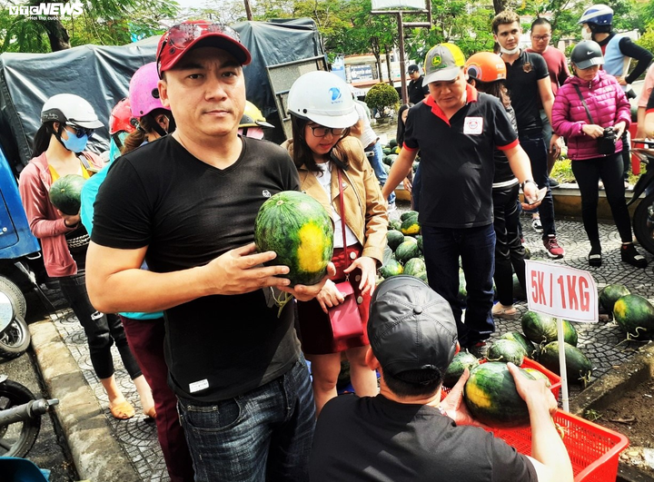 Dân và du khách Hội An 'giải cứu' hàng chục tấn dưa hấu Tây Nguyên - 1