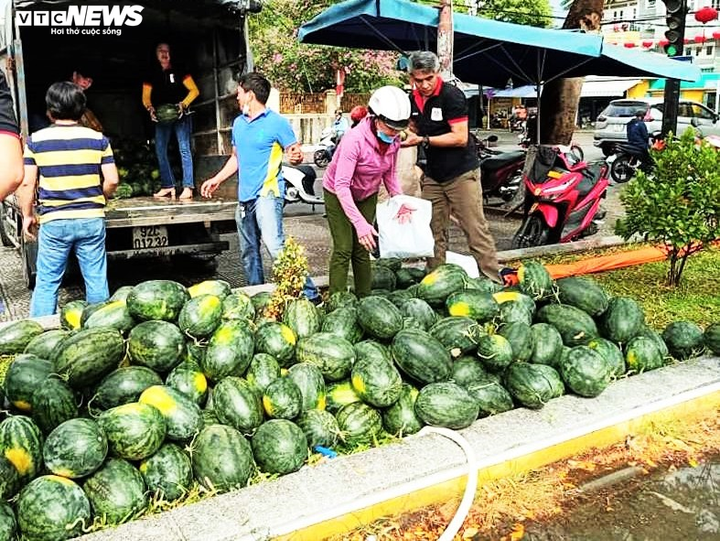 Dân và du khách Hội An 'giải cứu' hàng chục tấn dưa hấu Tây Nguyên - 3