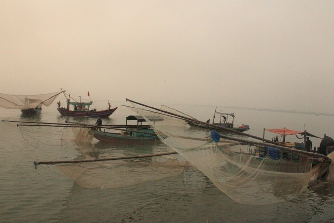 Được mùa ruốc biển đầu năm, ngư dân Hà Tĩnh kiếm tiền triệu mỗi ngày - 8